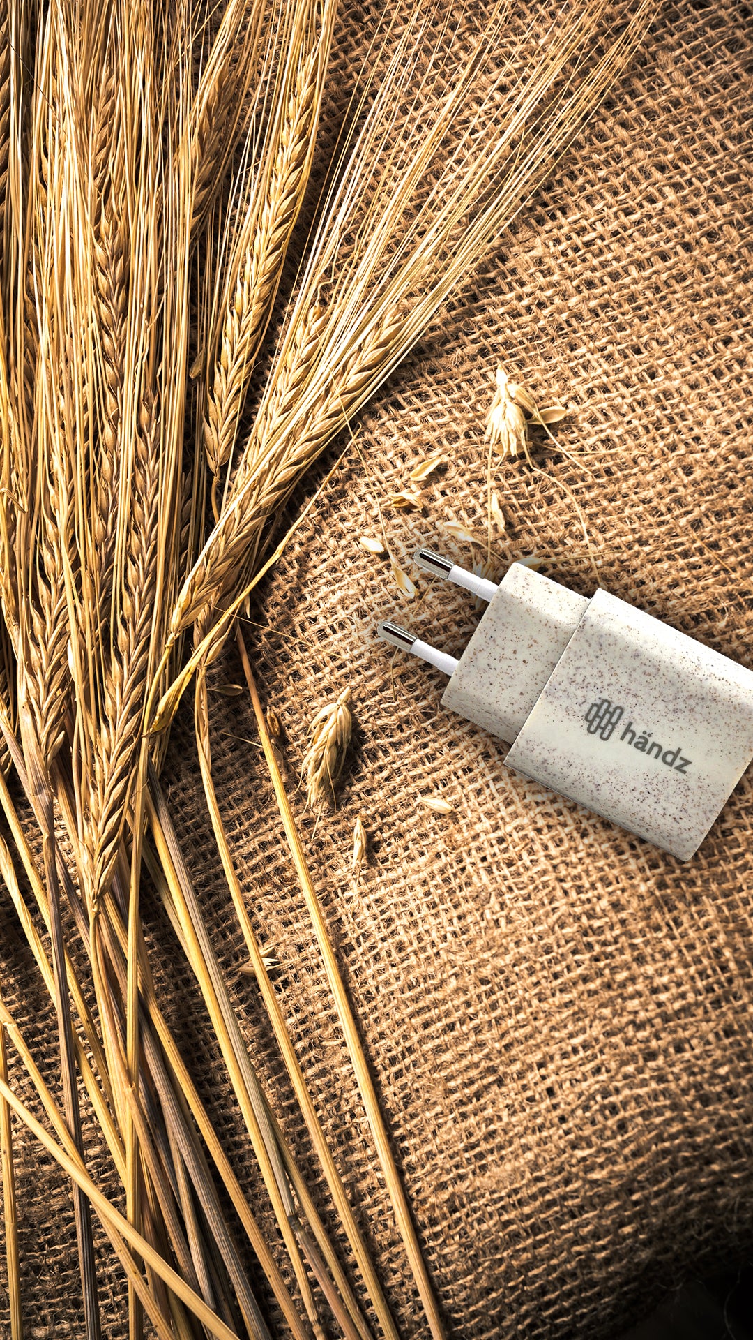 Fibra de trigo: o subproduto que substitui o plástico convencional