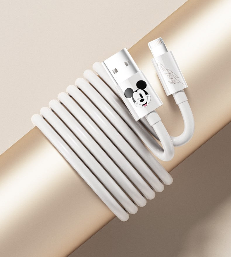 Cabo Lightning Disney